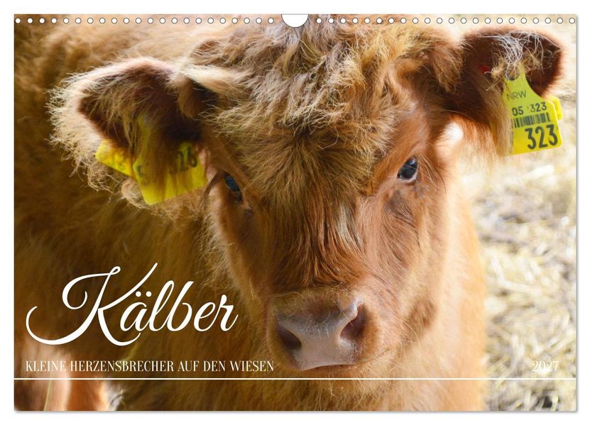Produktbild: Kälber - Kleine Herzensbrecher auf den Wiesen (Wandkalender 2027 DIN A3 quer), CALVENDO Monatskalender | DeVerviers - Photographer, Calvendo