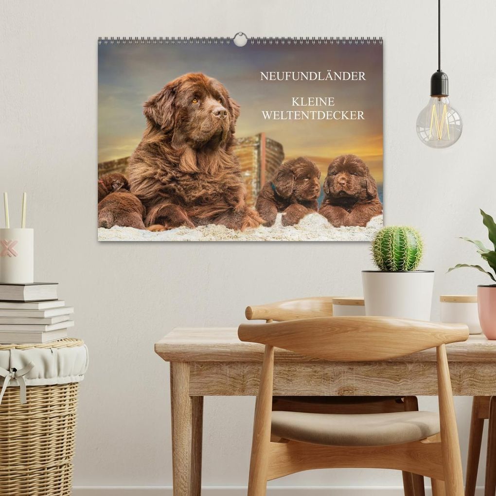 Weitere Ansicht: Neufundländer - Kleine Weltentdecker (Wandkalender 2027 DIN A3 quer), CALVENDO Monatskalender | Sigrid Starick, Calvendo