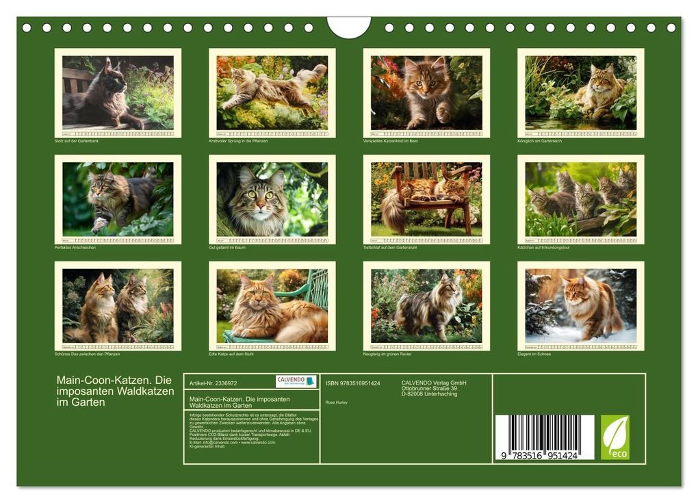 Weitere Ansicht: Main-Coon-Katzen. Die imposanten Waldkatzen im Garten (Wandkalender 2027 DIN A4 quer), CALVENDO Monatskalender | Rose Hurley, Calvendo
