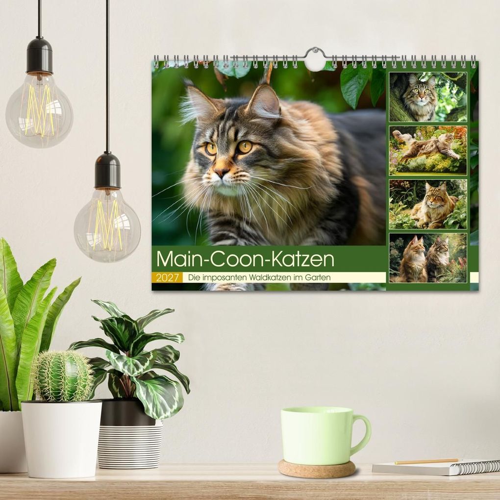 Weitere Ansicht: Main-Coon-Katzen. Die imposanten Waldkatzen im Garten (Wandkalender 2027 DIN A4 quer), CALVENDO Monatskalender | Rose Hurley, Calvendo