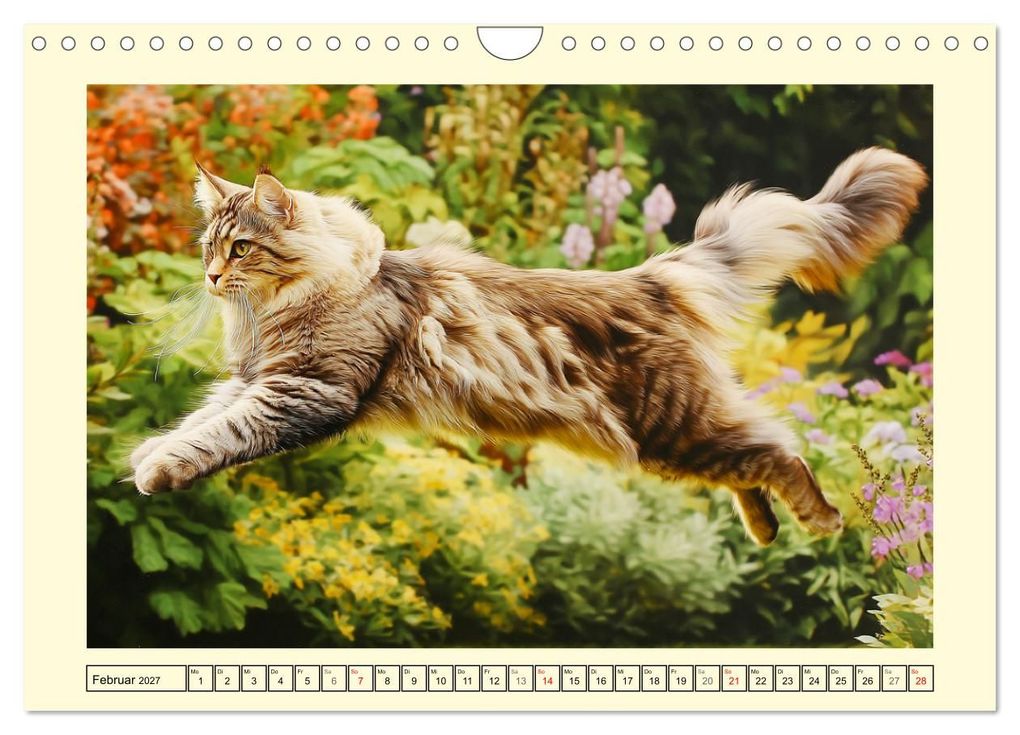 Weitere Ansicht: Main-Coon-Katzen. Die imposanten Waldkatzen im Garten (Wandkalender 2027 DIN A4 quer), CALVENDO Monatskalender | Rose Hurley, Calvendo