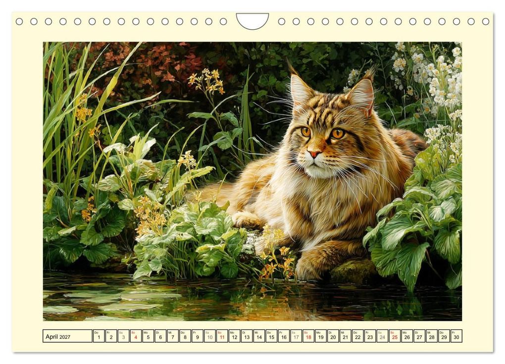 Weitere Ansicht: Main-Coon-Katzen. Die imposanten Waldkatzen im Garten (Wandkalender 2027 DIN A4 quer), CALVENDO Monatskalender | Rose Hurley, Calvendo