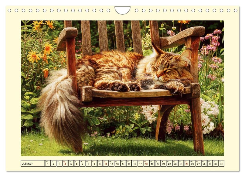 Weitere Ansicht: Main-Coon-Katzen. Die imposanten Waldkatzen im Garten (Wandkalender 2027 DIN A4 quer), CALVENDO Monatskalender | Rose Hurley, Calvendo