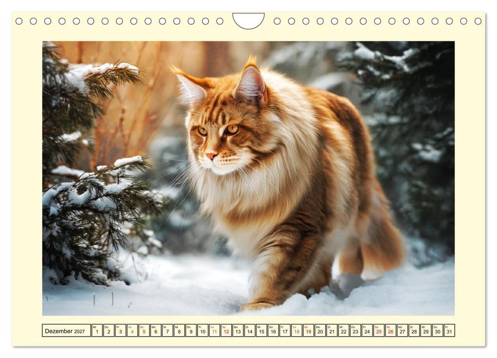 Weitere Ansicht: Main-Coon-Katzen. Die imposanten Waldkatzen im Garten (Wandkalender 2027 DIN A4 quer), CALVENDO Monatskalender | Rose Hurley, Calvendo