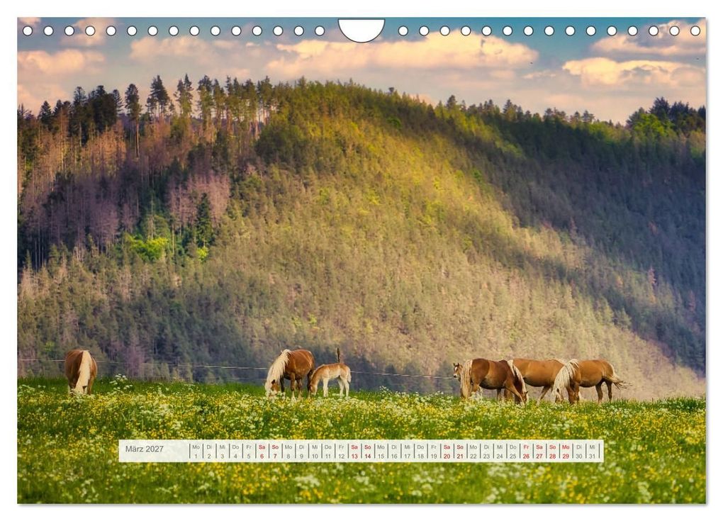Weitere Ansicht: Die Vielfalt des Thüringer Waldes (Wandkalender 2027 DIN A4 quer), CALVENDO Monatskalender | Torsten Irmer, Calvendo