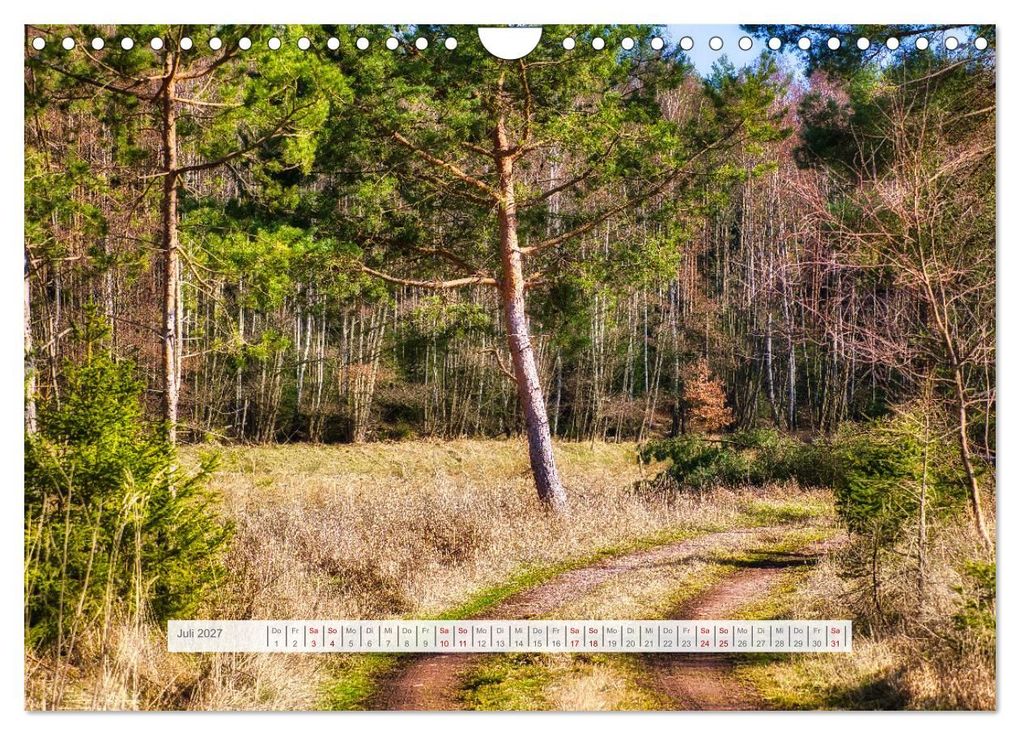 Weitere Ansicht: Die Vielfalt des Thüringer Waldes (Wandkalender 2027 DIN A4 quer), CALVENDO Monatskalender | Torsten Irmer, Calvendo