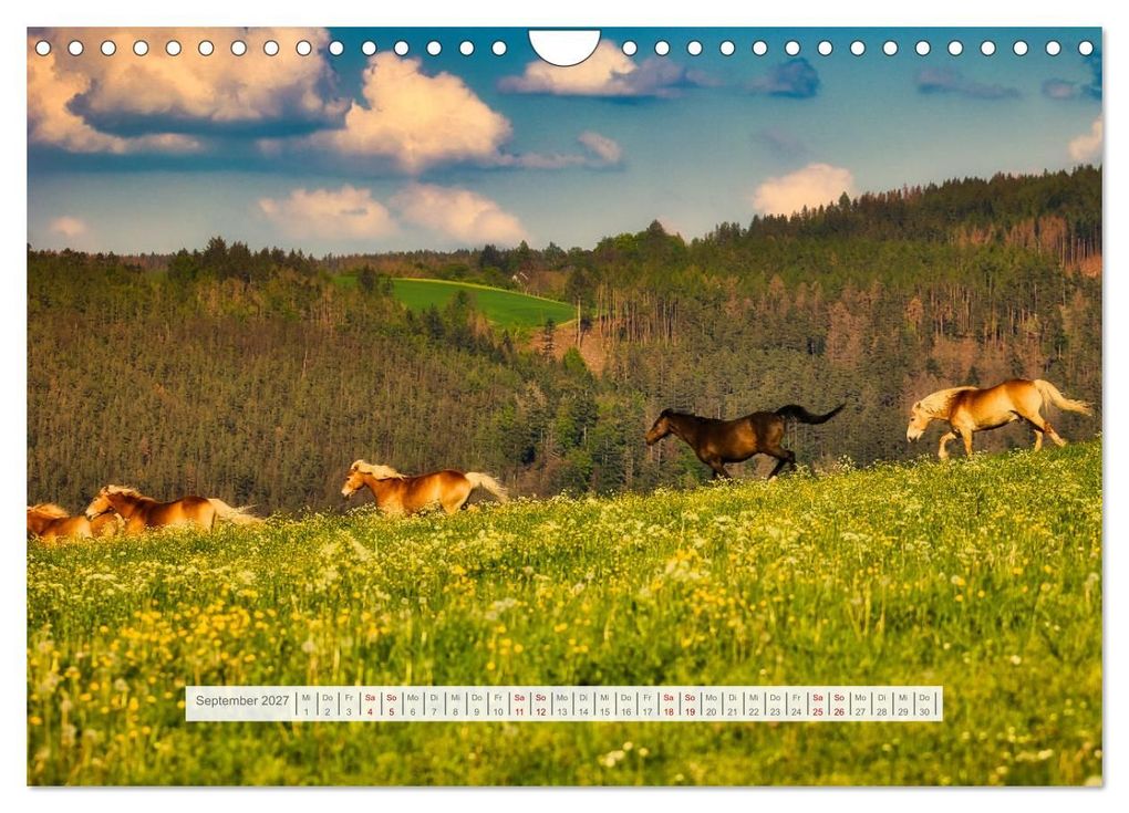 Weitere Ansicht: Die Vielfalt des Thüringer Waldes (Wandkalender 2027 DIN A4 quer), CALVENDO Monatskalender | Torsten Irmer, Calvendo