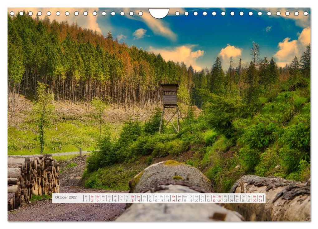 Weitere Ansicht: Die Vielfalt des Thüringer Waldes (Wandkalender 2027 DIN A4 quer), CALVENDO Monatskalender | Torsten Irmer, Calvendo