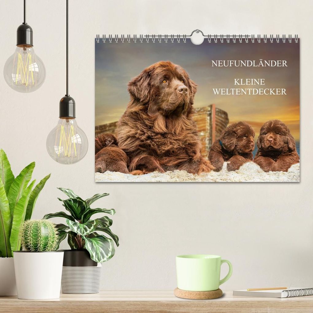 Weitere Ansicht: Neufundländer - Kleine Weltentdecker (Wandkalender 2027 DIN A4 quer), CALVENDO Monatskalender | Sigrid Starick, Calvendo