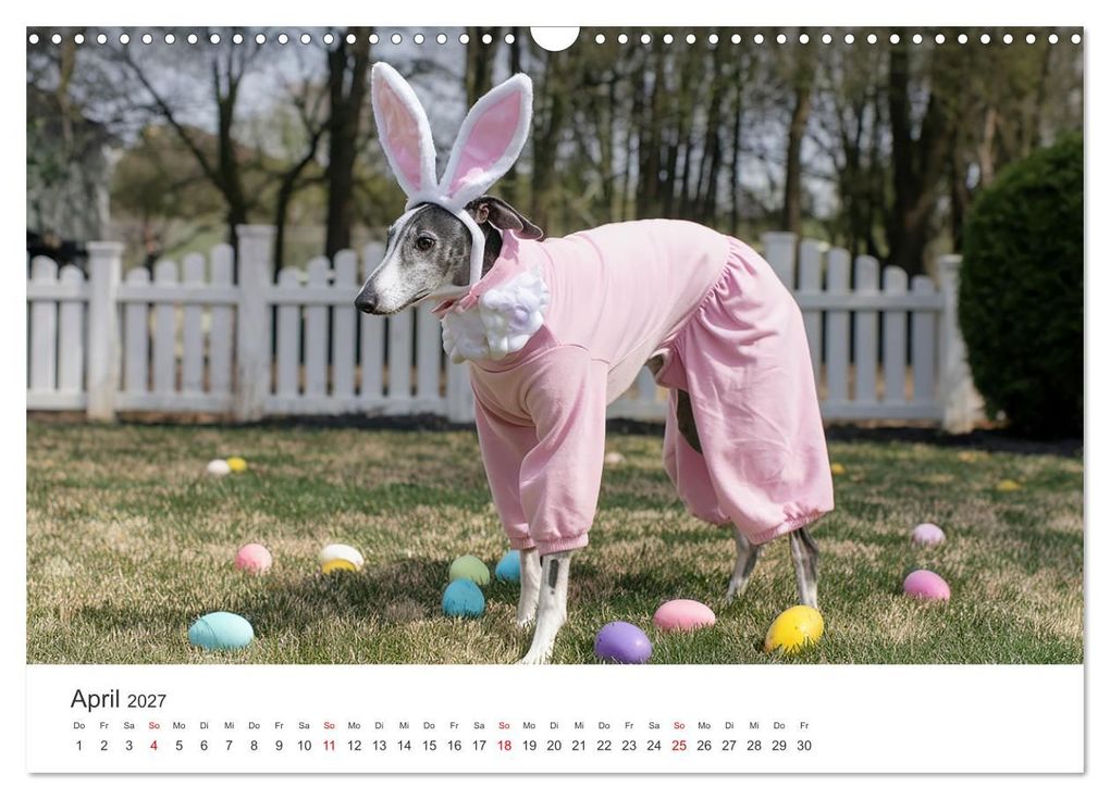 Weitere Ansicht: Funny Greyhounds - Windhunde mal anders (Wandkalender 2027 DIN A3 quer), CALVENDO Monatskalender | Markus Helfferich, Calvendo