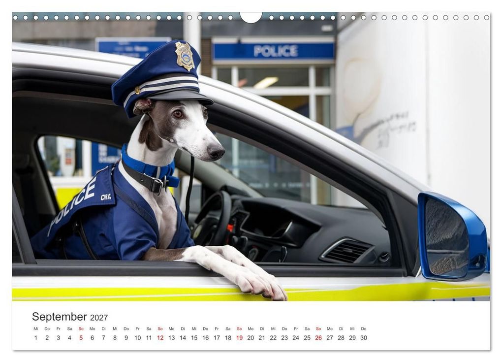 Weitere Ansicht: Funny Greyhounds - Windhunde mal anders (Wandkalender 2027 DIN A3 quer), CALVENDO Monatskalender | Markus Helfferich, Calvendo