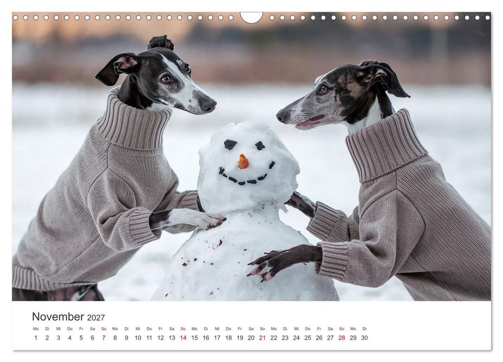 Weitere Ansicht: Funny Greyhounds - Windhunde mal anders (Wandkalender 2027 DIN A3 quer), CALVENDO Monatskalender | Markus Helfferich, Calvendo