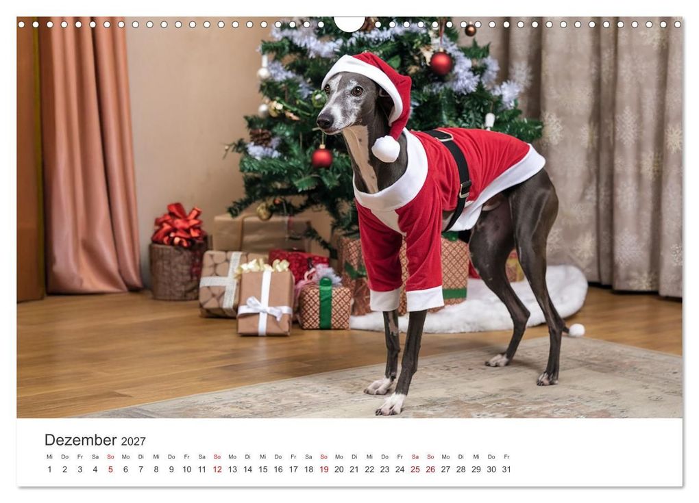 Weitere Ansicht: Funny Greyhounds - Windhunde mal anders (Wandkalender 2027 DIN A3 quer), CALVENDO Monatskalender | Markus Helfferich, Calvendo