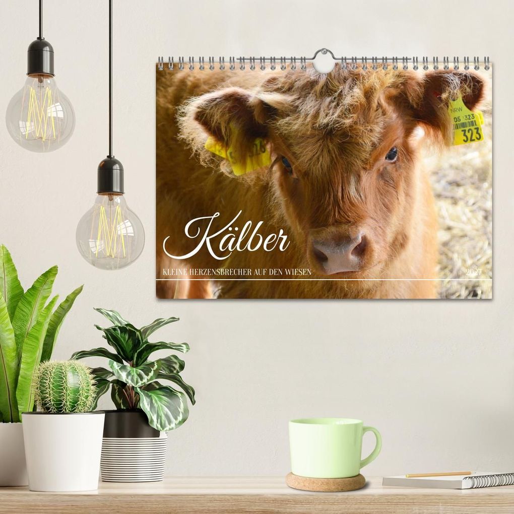 Weitere Ansicht: Kälber - Kleine Herzensbrecher auf den Wiesen (Wandkalender 2027 DIN A4 quer), CALVENDO Monatskalender | DeVerviers - Photographer, Calvendo