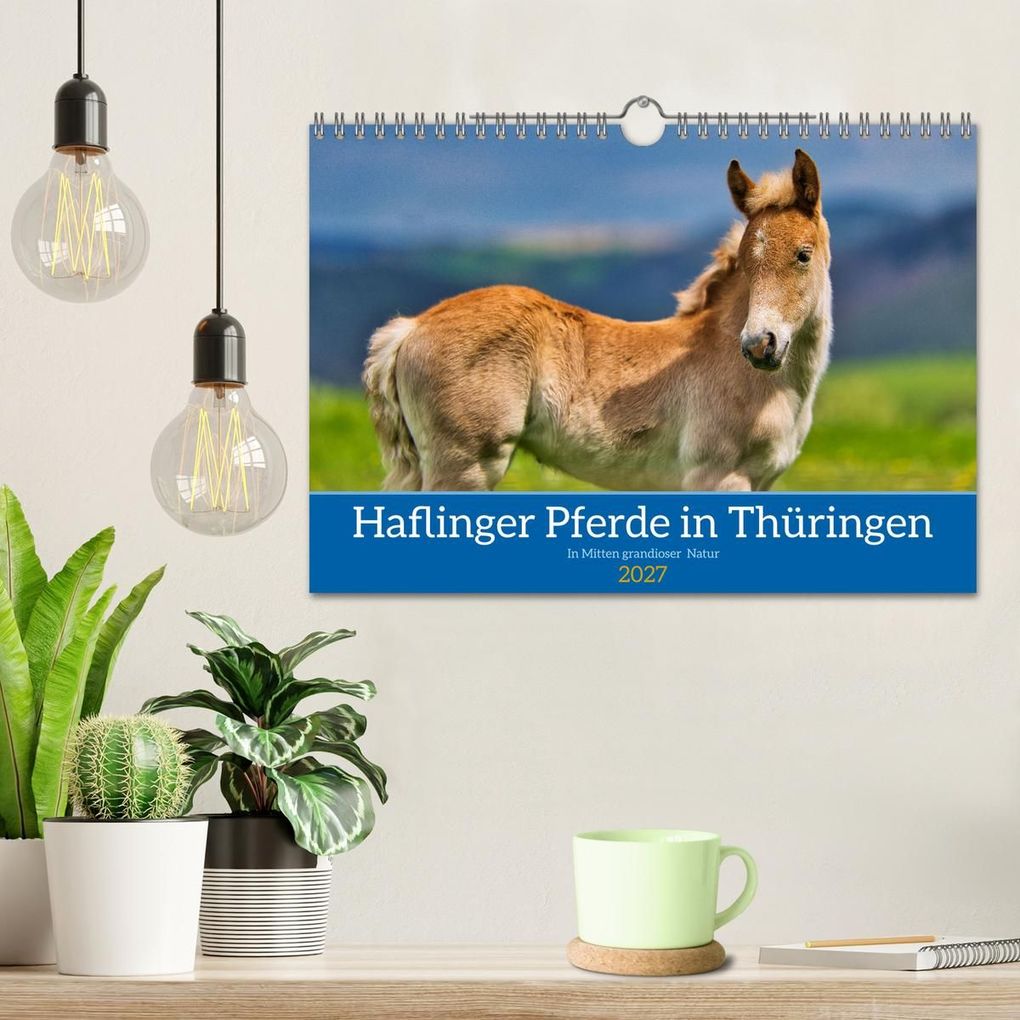 Weitere Ansicht: Haflinger Pferde in Thüringen (Wandkalender 2027 DIN A4 quer), CALVENDO Monatskalender | Torsten Irmer, Calvendo
