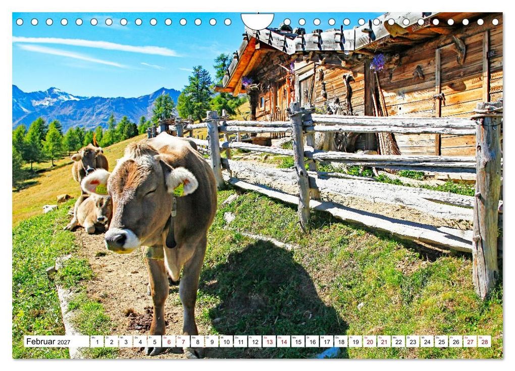 Weitere Ansicht: Almen im Südtiroler Ultental (Wandkalender 2027 DIN A4 quer), CALVENDO Monatskalender | Klaus Scholz, Calvendo