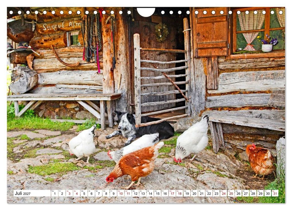 Weitere Ansicht: Almen im Südtiroler Ultental (Wandkalender 2027 DIN A4 quer), CALVENDO Monatskalender | Klaus Scholz, Calvendo