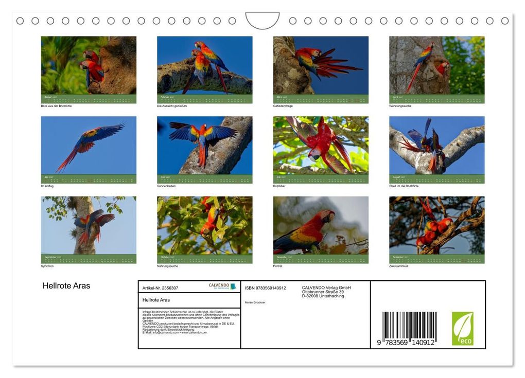Weitere Ansicht: Hellrote Aras (Wandkalender 2027 DIN A4 quer), CALVENDO Monatskalender | Armin Brockner, Calvendo