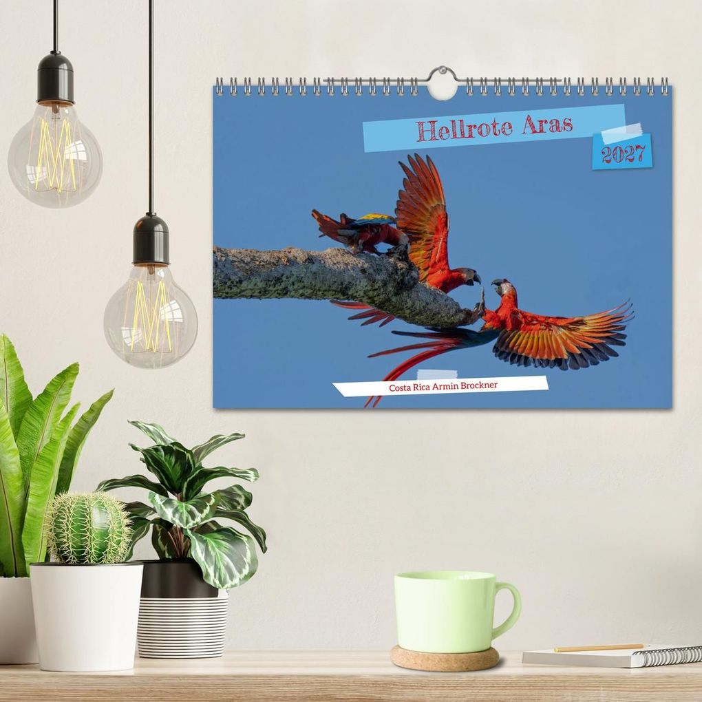 Weitere Ansicht: Hellrote Aras (Wandkalender 2027 DIN A4 quer), CALVENDO Monatskalender | Armin Brockner, Calvendo