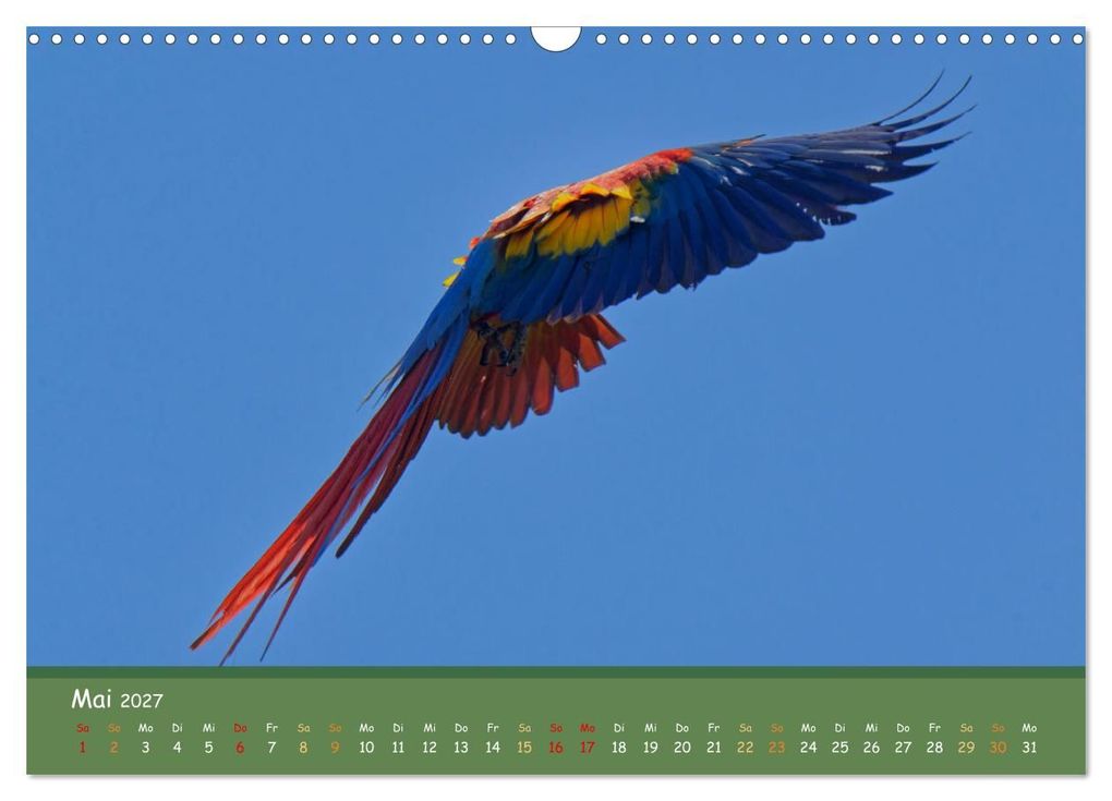 Weitere Ansicht: Hellrote Aras (Wandkalender 2027 DIN A3 quer), CALVENDO Monatskalender | Armin Brockner, Calvendo