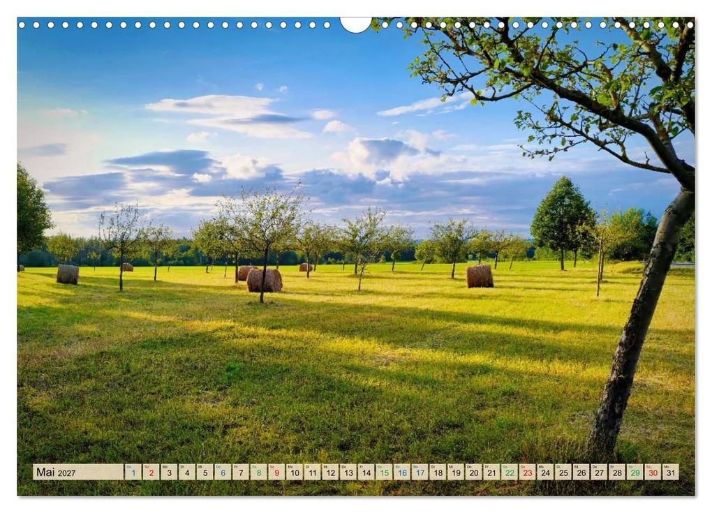 Weitere Ansicht: Sommer am Rennsteig (Wandkalender 2027 DIN A3 quer), CALVENDO Monatskalender | Torsten Irmer, Calvendo