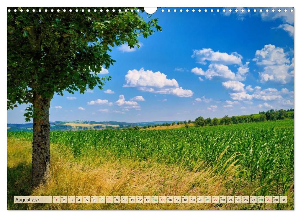 Weitere Ansicht: Sommer am Rennsteig (Wandkalender 2027 DIN A3 quer), CALVENDO Monatskalender | Torsten Irmer, Calvendo
