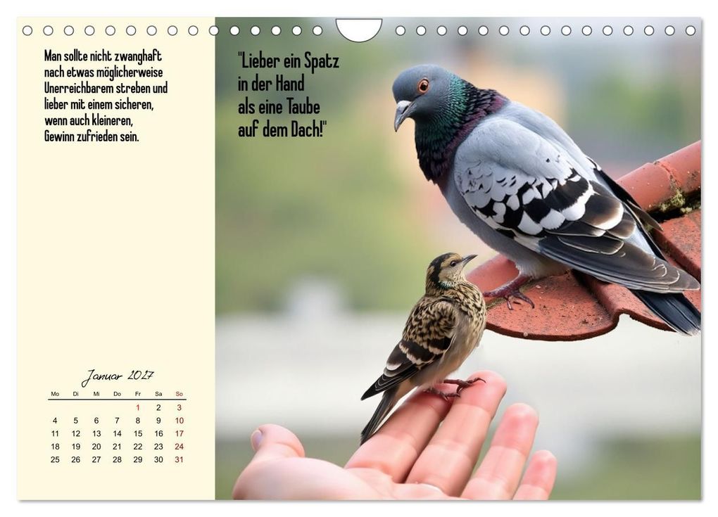 Weitere Ansicht: Illustrierte deutsche Redewendungen mit ihrer Bedeutung (Wandkalender 2027 DIN A4 quer), CALVENDO Monatskalender | Claudia Kleemann, Calvendo