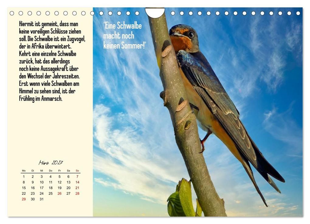 Weitere Ansicht: Illustrierte deutsche Redewendungen mit ihrer Bedeutung (Wandkalender 2027 DIN A4 quer), CALVENDO Monatskalender | Claudia Kleemann, Calvendo