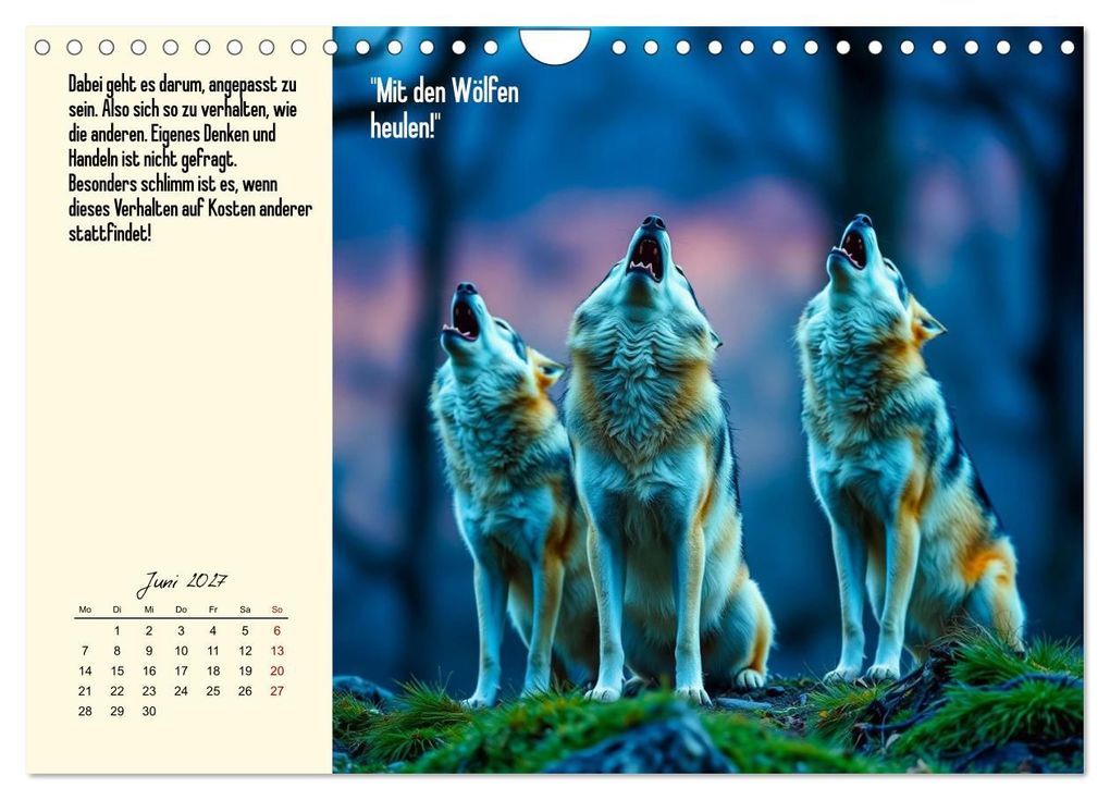 Weitere Ansicht: Illustrierte deutsche Redewendungen mit ihrer Bedeutung (Wandkalender 2027 DIN A4 quer), CALVENDO Monatskalender | Claudia Kleemann, Calvendo