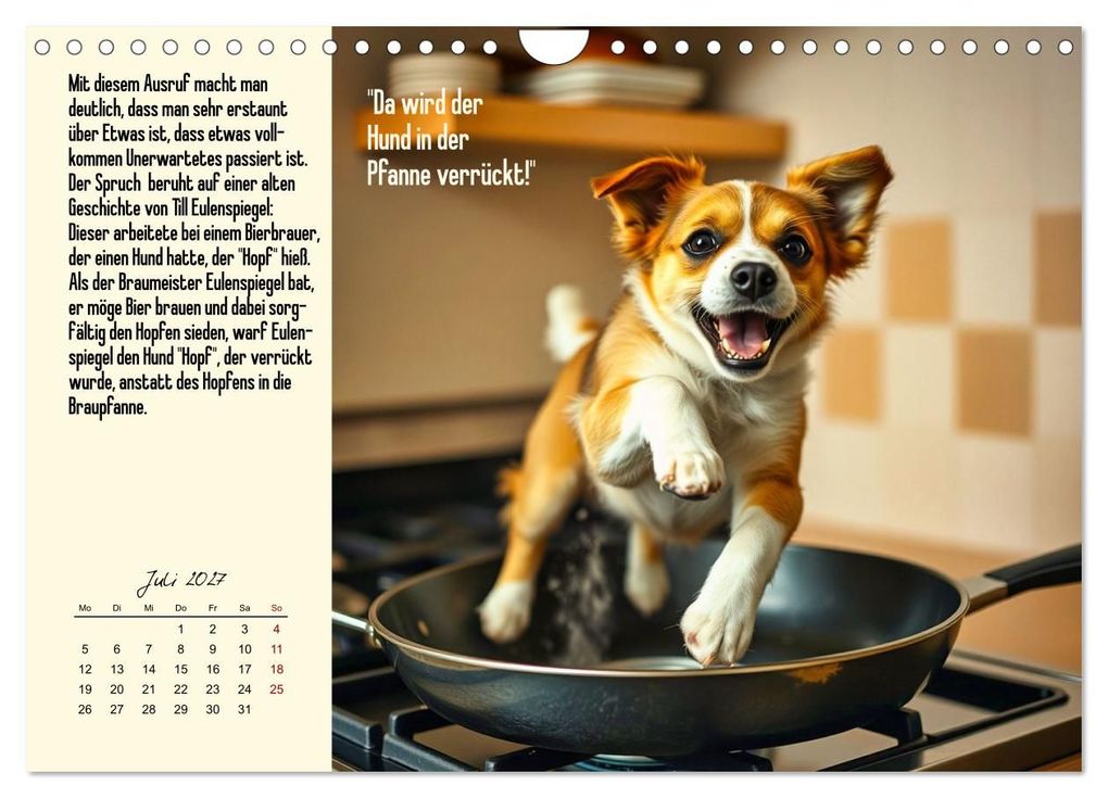Weitere Ansicht: Illustrierte deutsche Redewendungen mit ihrer Bedeutung (Wandkalender 2027 DIN A4 quer), CALVENDO Monatskalender | Claudia Kleemann, Calvendo