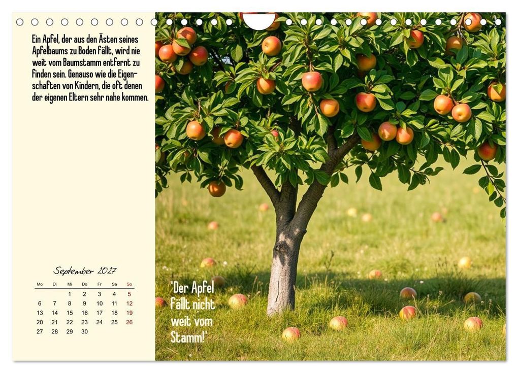 Weitere Ansicht: Illustrierte deutsche Redewendungen mit ihrer Bedeutung (Wandkalender 2027 DIN A4 quer), CALVENDO Monatskalender | Claudia Kleemann, Calvendo