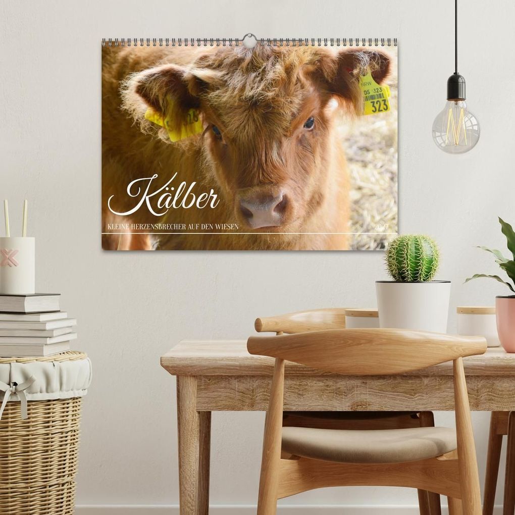 Weitere Ansicht: Kälber - Kleine Herzensbrecher auf den Wiesen (Wandkalender 2027 DIN A3 quer), CALVENDO Monatskalender | DeVerviers - Photographer, Calvendo