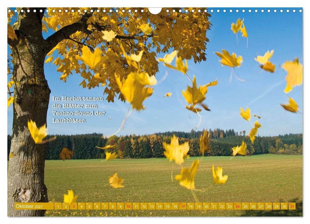 Weitere Ansicht: Rollentausch - Bebilderte Wortspielereien (Wandkalender 2027 DIN A3 quer), CALVENDO Monatskalender | Reinhold Ratzer, Calvendo
