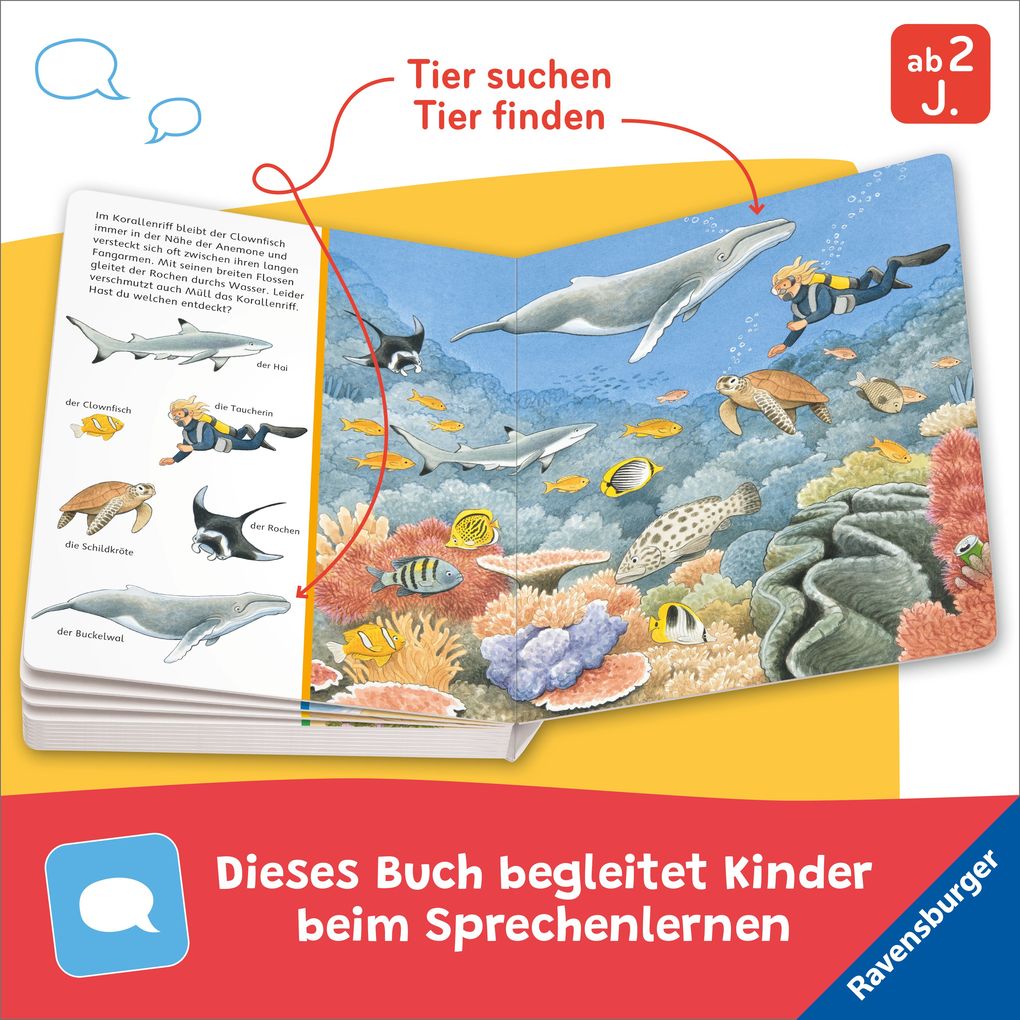 Weitere Ansicht: Sachen suchen: Am Meer | Susanne Gernhäuser