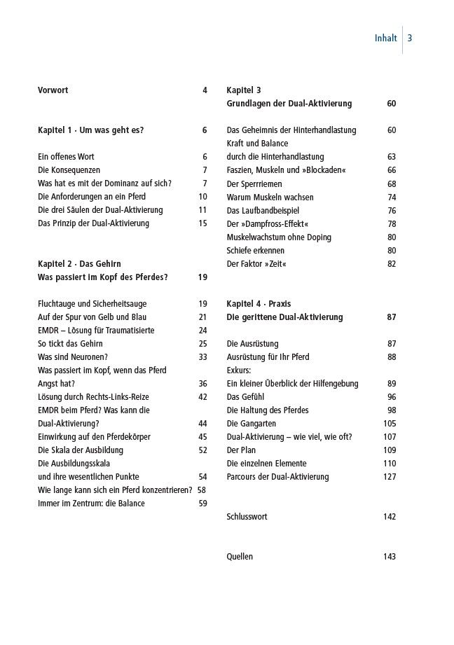 Weitere Ansicht: Dual-Aktivierung geritten | Michael Geitner