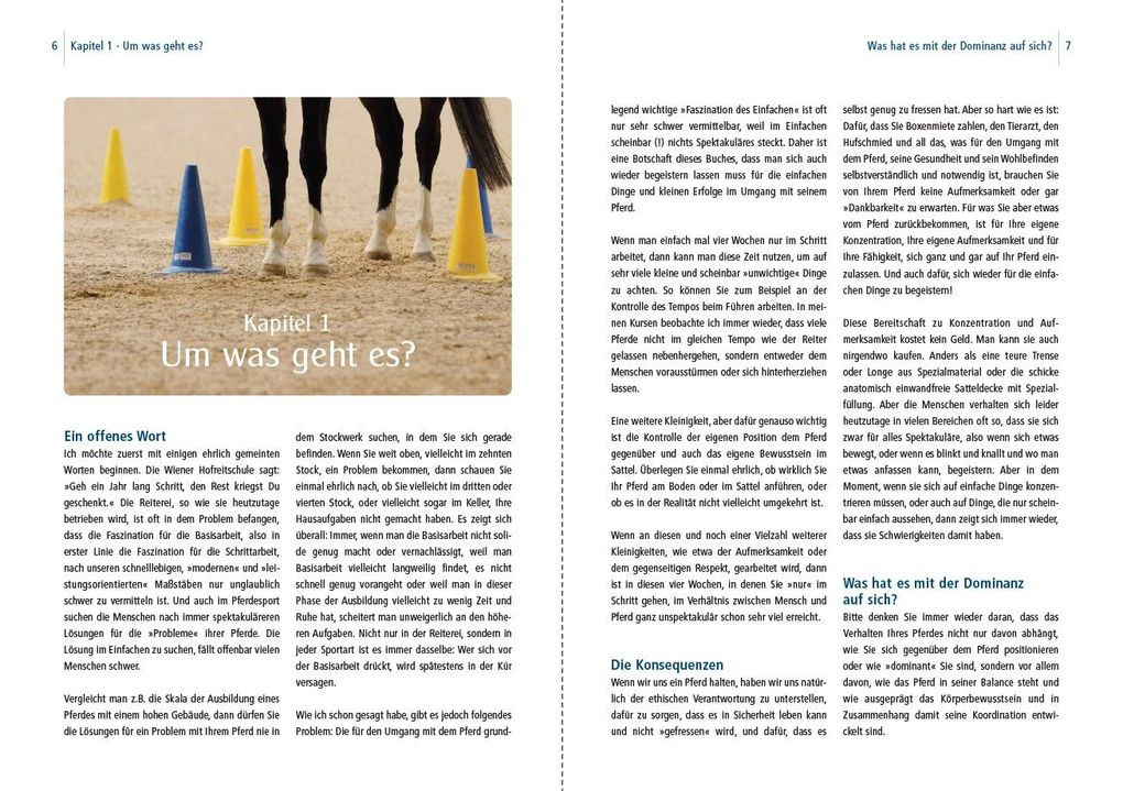 Weitere Ansicht: Dual-Aktivierung geritten | Michael Geitner