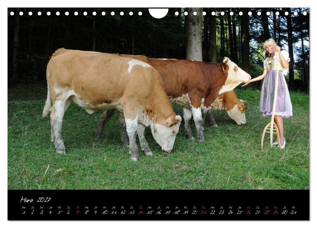Weitere Ansicht: Landleben am Bauernhof 2027 (Wandkalender 2027 DIN A4 quer), CALVENDO Monatskalender | Andy Andy1411, Calvendo, Andy1411