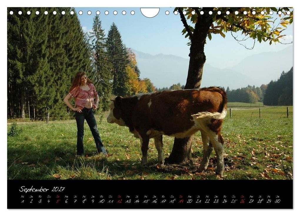 Weitere Ansicht: Landleben am Bauernhof 2027 (Wandkalender 2027 DIN A4 quer), CALVENDO Monatskalender | Andy Andy1411, Calvendo, Andy1411