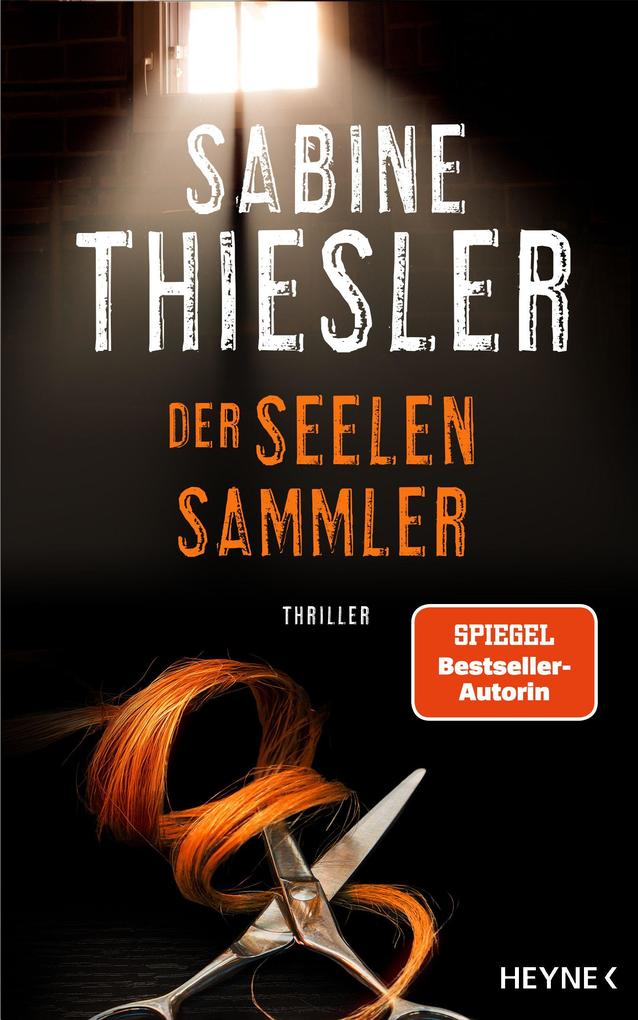 Produktbild: Der Seelensammler | Sabine Thiesler