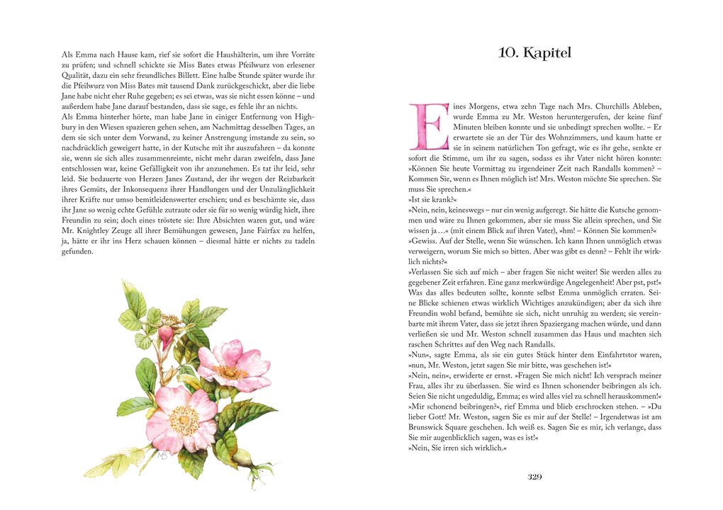 Weitere Ansicht: Limitierte Sonderausgabe Emma | Jane Austen
