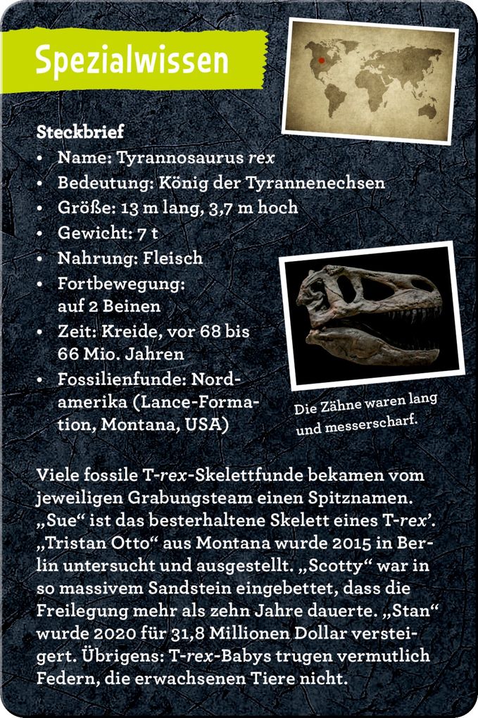 Weitere Ansicht: 50 Dinos | Barbara Wernsing
