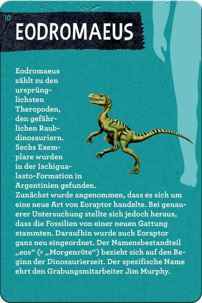 Weitere Ansicht: 50 Dinos | Barbara Wernsing