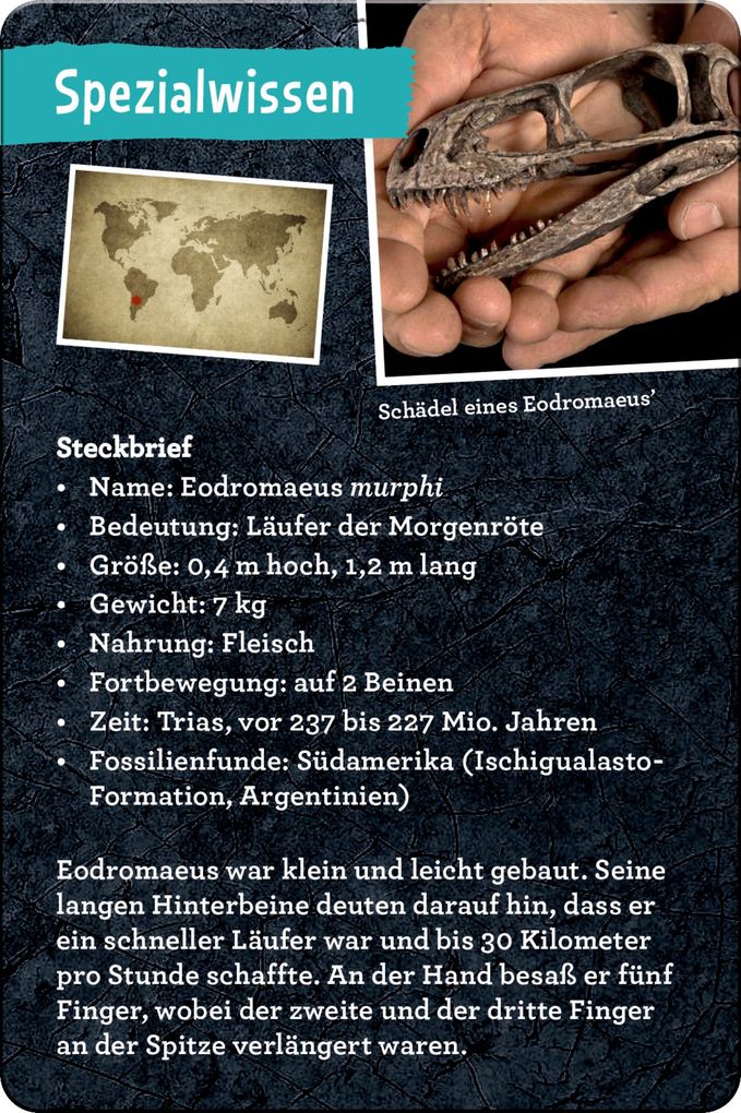 Weitere Ansicht: 50 Dinos | Barbara Wernsing