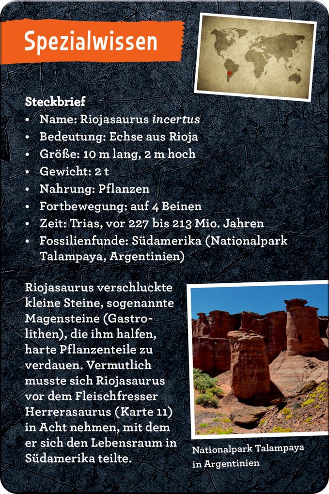 Weitere Ansicht: 50 Dinos | Barbara Wernsing