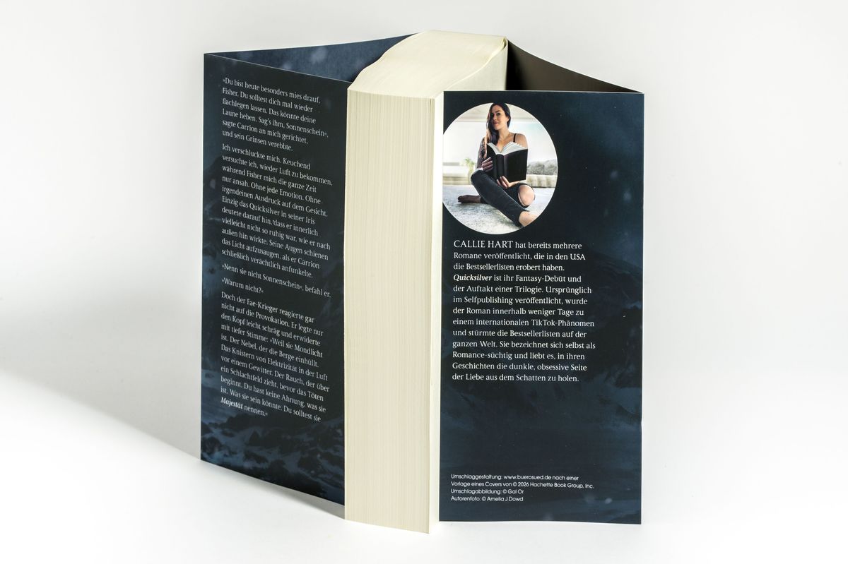 Weitere Ansicht: Quicksilver - Tochter des Silbers. Gefangener der Schatten | Callie Hart