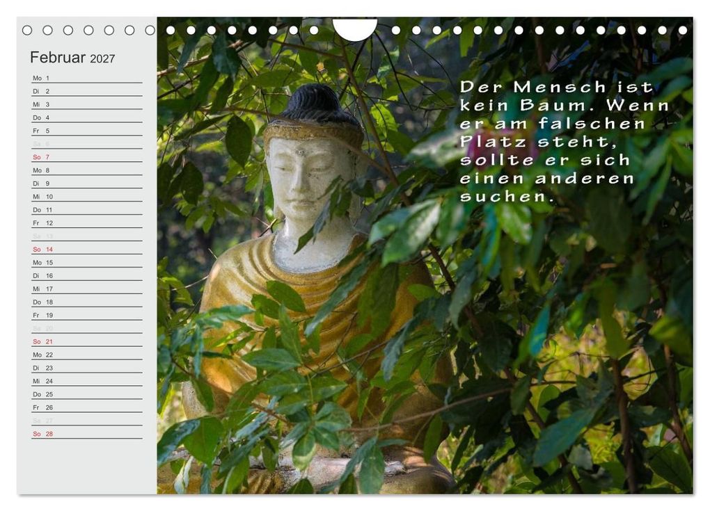 Weitere Ansicht: BUDDHA Buddhistische Weisheiten (Wandkalender 2027 DIN A4 quer), CALVENDO Monatskalender | BuddhaART, Calvendo