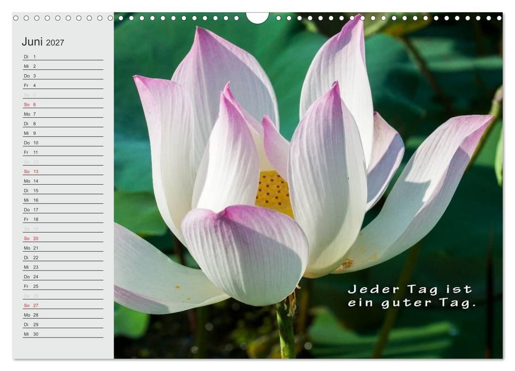 Weitere Ansicht: BUDDHA Buddhistische Weisheiten (Wandkalender 2027 DIN A3 quer), CALVENDO Monatskalender | BuddhaART, Calvendo
