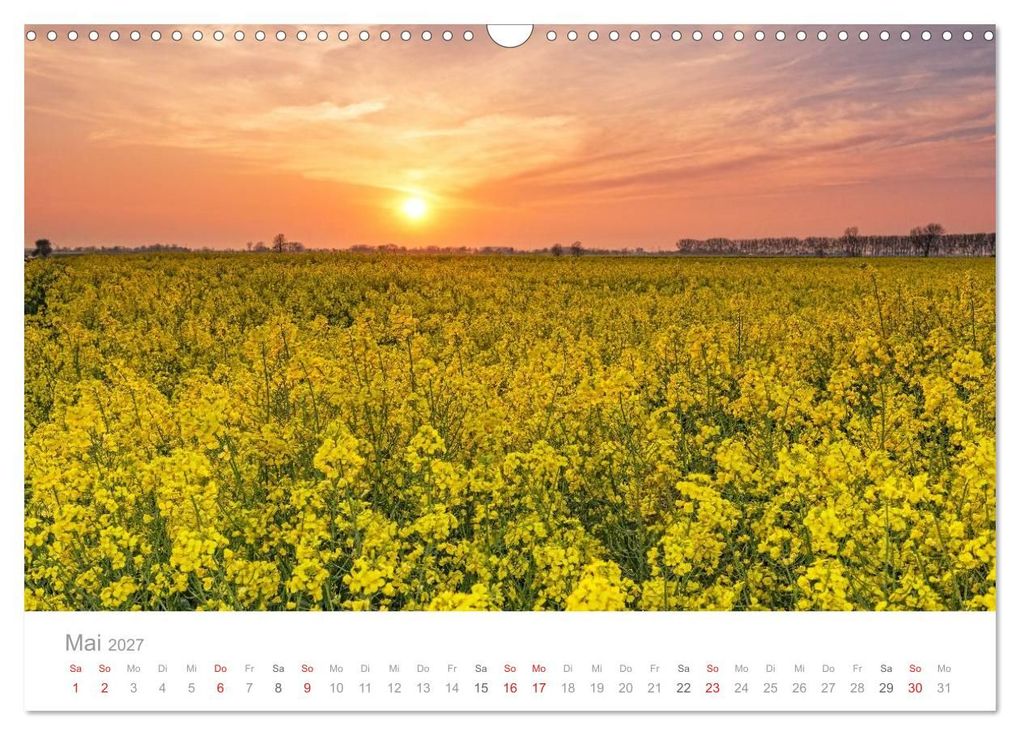Weitere Ansicht: Lichtreise durch Schleswig-Holstein (Wandkalender 2027 DIN A3 quer), CALVENDO Monatskalender | Nordbilder, Calvendo