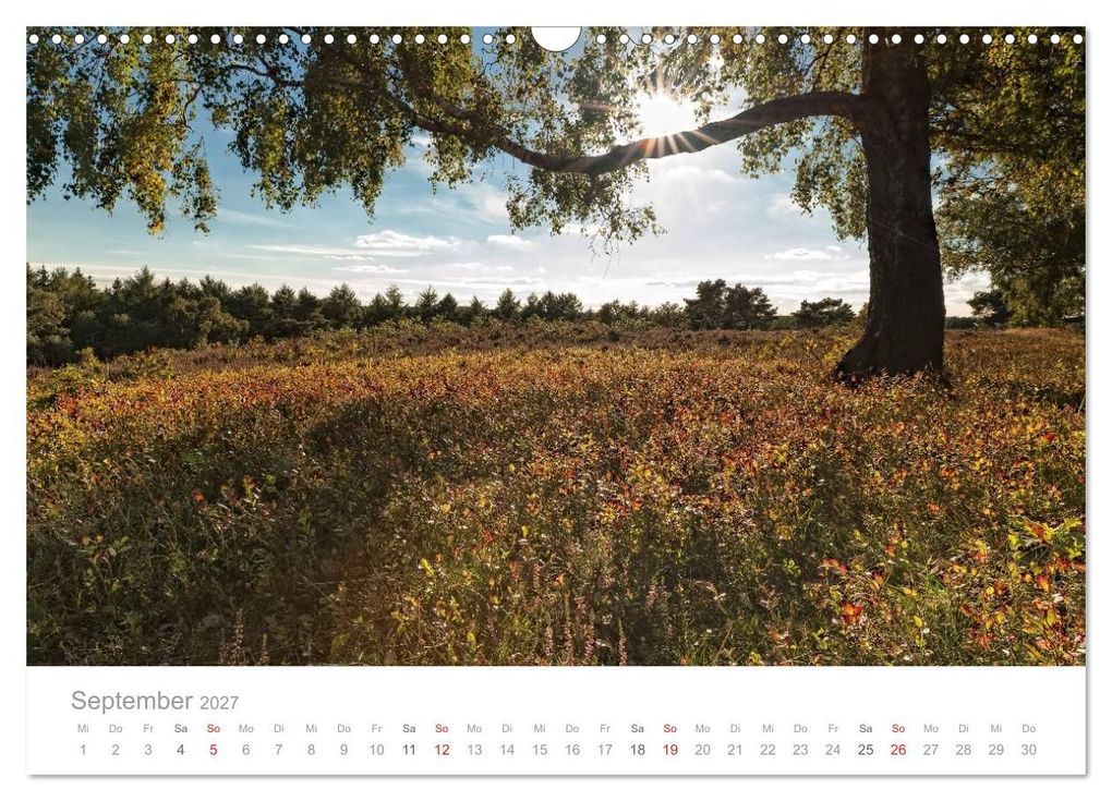Weitere Ansicht: Lichtreise durch Schleswig-Holstein (Wandkalender 2027 DIN A3 quer), CALVENDO Monatskalender | Nordbilder, Calvendo