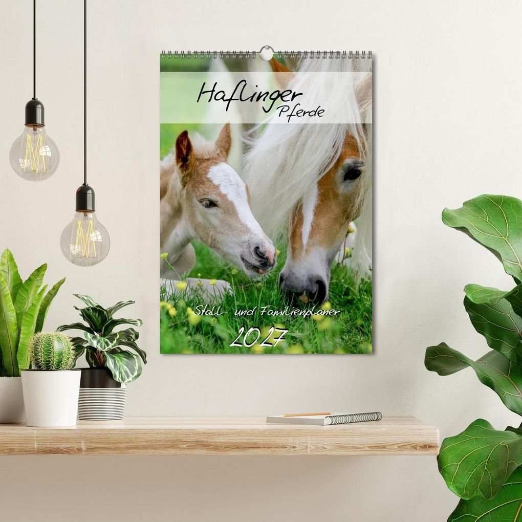Weitere Ansicht: Haflinger Pferde - Stall- und Familienplaner 2027 (Wandkalender 2027 DIN A3 hoch), CALVENDO Monatskalender | Natural-Golden.de, Calvendo
